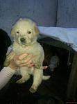     
: ztyJ_wrHoTs.jpg
: 14
:	36.7 
ID:	10523602