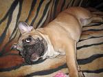     
: W8zuYlB1tew.jpg
: 9
:	104.2 
ID:	10523629