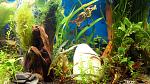     
: 20151031021440.jpg
: 14
:	198.6 
ID:	10523782