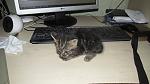     
: attachment.jpg
: 51
:	93.6 
ID:	10523976