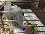     
: IMG_1718.jpg
: 11
:	161.2 
ID:	10529727