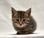     
: DSC_8707.jpg
: 8
:	108.7 
ID:	10530953