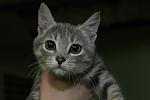     
: IMG_3328.JPG
: 19
:	56.9 
ID:	10533646