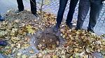     
: 12208467_943900935671117_3528337068632790072_n.jpg
: 25
:	128.3 
ID:	10540085