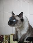     
: IMG_7252.jpg
: 17
:	85.5 
ID:	1054095