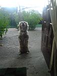     
: Фото0489.jpg
: 11
:	124.0 
ID:	10542091