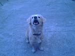     
: Фото0405.jpg
: 11
:	136.6 
ID:	10542094