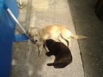     
: Фото0461.jpg
: 11
:	157.8 
ID:	10542095