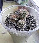     
: DSCN1486.JPG
: 22
:	36.2 
ID:	10542629