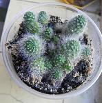     
: DSCN1485.JPG
: 17
:	39.0 
ID:	10542726