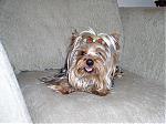     
:  P1010059.jpg
: 16
:	147.3 
ID:	105431