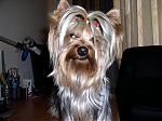     
: P1010267.jpg
: 25
:	78.7 
ID:	105432