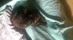     
: DSC_0440.jpg
: 25
:	100.8 
ID:	10545064