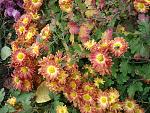     
: DSC03912.jpg
: 5
:	254.1 
ID:	10548784