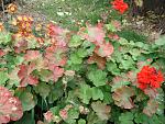     
: DSC03896.jpg
: 6
:	237.4 
ID:	10548785