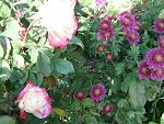     
: DSC03890.jpg
: 7
:	201.4 
ID:	10548806