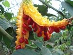     
: DSC03875.jpg
: 9
:	142.1 
ID:	10548809