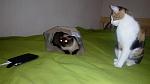     
: yOsdJhiH1Qs.jpg
: 28
:	131.3 
ID:	10548841