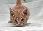     
: DSC_8631.jpg
: 3
:	91.7 
ID:	10555489