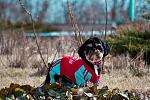     
: DSC_0202.jpg
: 53
:	140.9 
ID:	1055805