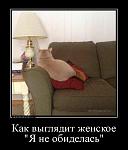     
: 333.jpg
: 15
:	106.3 
ID:	10559013