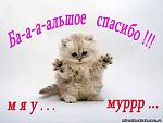    
: image.jpg
: 30
:	81.0 
ID:	10559106