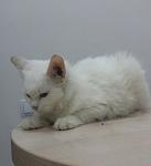     
: r5qQTECixxs.jpg
: 30
:	61.2 
ID:	10559268