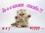     
: 508326ba2b062141c7eb65689cd1f99e53951328775610.jpg
: 11
:	29.1 
ID:	10560699