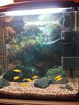     
: 20151115170840.jpg
: 11
:	122.4 
ID:	10564357