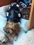     
: 20151116075432.jpg
: 23
:	95.8 
ID:	10565344