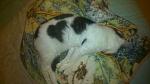     
: DSC_0453.jpg
: 9
:	84.8 
ID:	10566775
