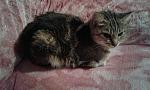     
: HqChZ8mH6qI.jpg
: 10
:	210.1 
ID:	10573796