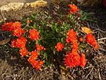     
:  15 (1).jpg
: 8
:	111.3 
ID:	10574338