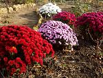    
:  15 (3).jpg
: 6
:	148.2 
ID:	10574342