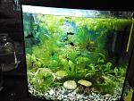     
: 20151119_085059.jpg
: 97
:	181.2 
ID:	10577362