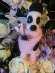     
: ImageUploadedByTapatalk1448011185.385593.jpg
: 8
:	66.6 
ID:	10579413