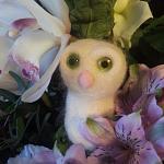     
: ImageUploadedByTapatalk1448011517.004245.jpg
: 7
:	50.4 
ID:	10579439