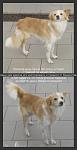     
: новый-коллаж-1.jpg
: 25
:	28.9 
ID:	10581146