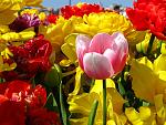     
: IMG_3579.jpg
: 12
:	136.6 
ID:	1058210