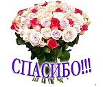     
: 687474703a2f2f626c6f672e6c75646d696c616b617a616b6f76612e72752f77702d636f6e74656e742f75706c6f6164.jpg
: 50
:	185.9 
ID:	10583896