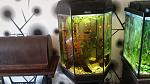     
: 20151115_124205.jpg
: 23
:	92.7 
ID:	10584859