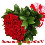     
: image.jpg
: 51
:	116.9 
ID:	10585553