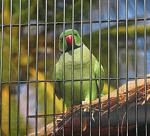     
: IMG_2344_1.jpg
: 22
:	109.6 
ID:	1058627