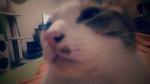     
: IMG_20151113_201656.jpg
: 4
:	42.1 
ID:	10589365