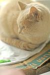     
: Untitled-4.jpg
: 32
:	50.0 
ID:	10594929