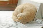     
: Untitled-2.jpg
: 45
:	76.5 
ID:	10594930