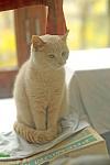     
: Untitled-3.jpg
: 37
:	48.1 
ID:	10594931