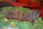    
: DSC_0435.jpg
: 21
:	112.3 
ID:	10596314
