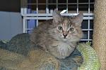     
: DSC_0505.jpg
: 24
:	130.5 
ID:	10596318