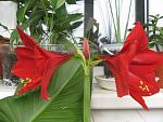    
: IMG_7306.JPG
: 34
:	162.5 
ID:	10598392